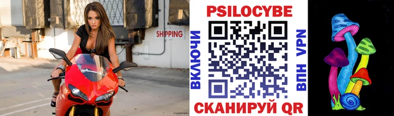 Купить где  Орёл  Галлюциногенные грибы мицелий 