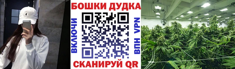 Купить где  Орёл  Шишки марихуана OG Kush 
